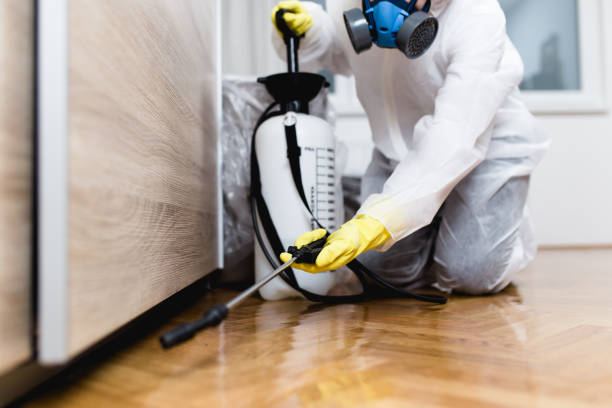 Best Bed Bug Extermination  in Oakbrook, KY